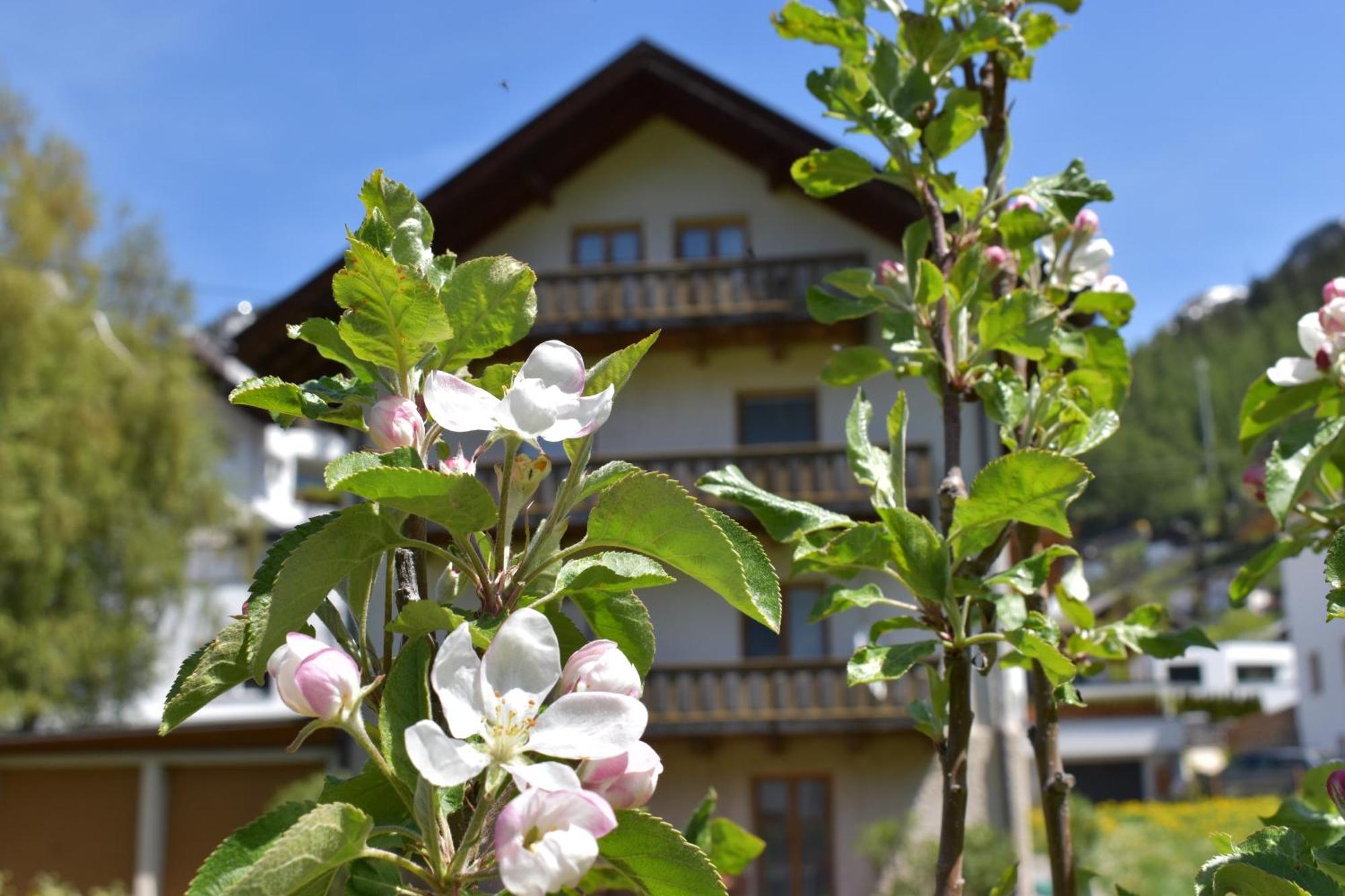 Bed and Breakfast Hirschstube Nauders Zewnętrze zdjęcie